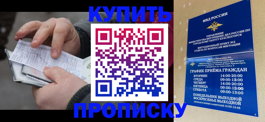 временная регистрация недорого в Заринске